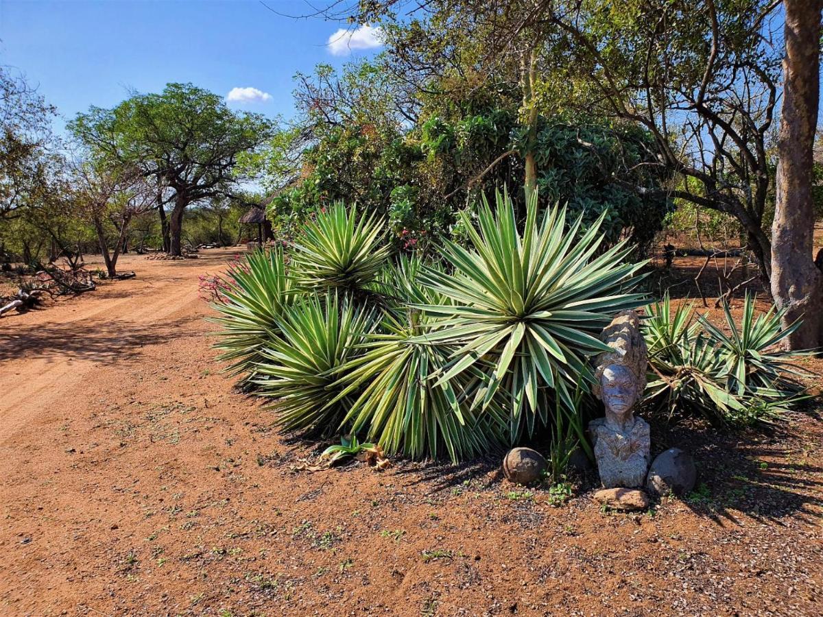 Masorini Bush Lodge & Safari Tents Phalaborwa Extérieur photo