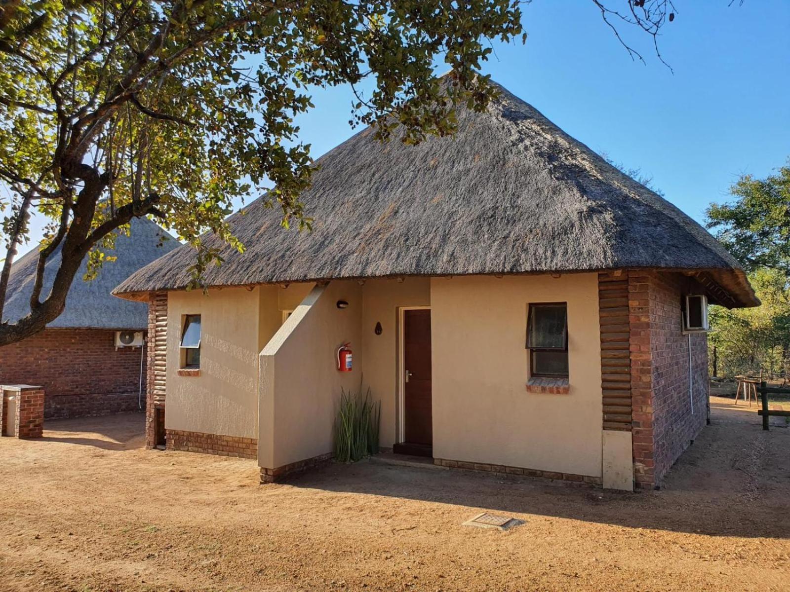 Masorini Bush Lodge & Safari Tents Phalaborwa Chambre photo