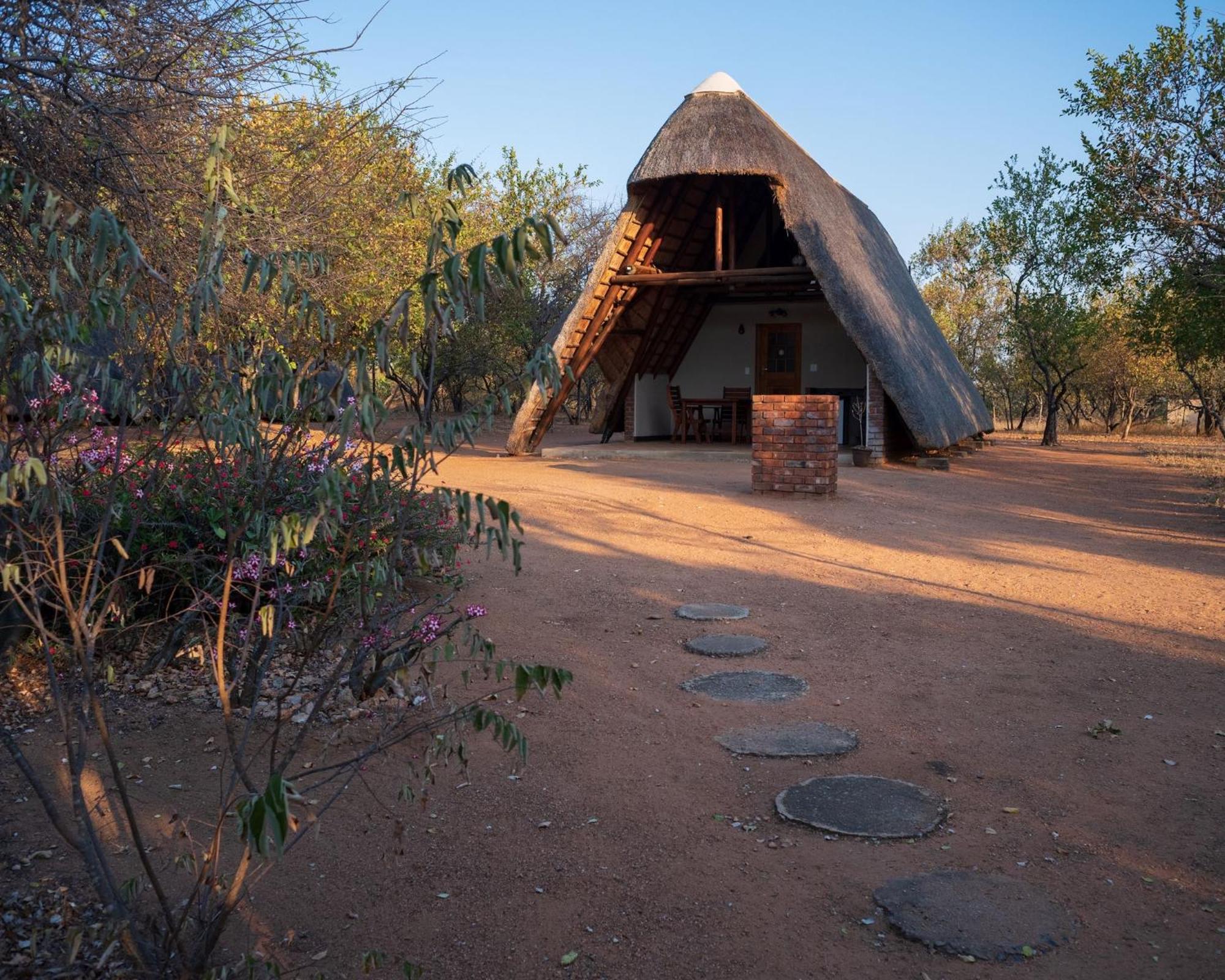Masorini Bush Lodge & Safari Tents Phalaborwa Extérieur photo